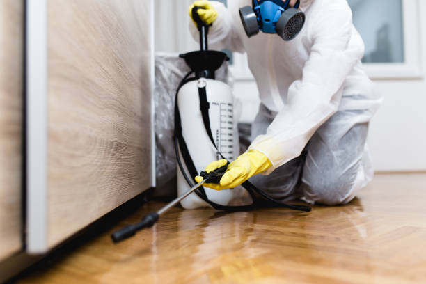 Best Bed Bug Extermination  in Hide A Way Lake, MS