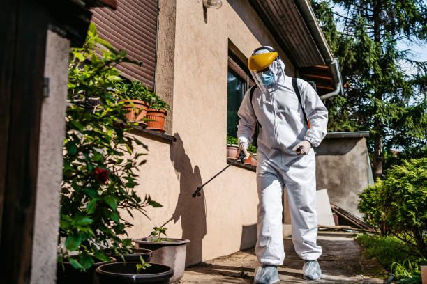 Best Local Pest Control Services  in Hide A Way Lake, MS