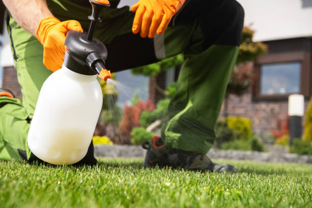 Best Termite Control Services  in Hide A Way Lake, MS