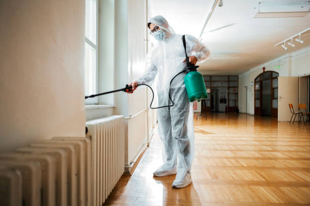 Best Pest Prevention Services  in Hide A Way Lake, MS